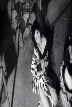 Самурай — волк 2 1967 скачать через торрент бесплатно Самурай — волк 2 1967 скачать через торрент бесплатно