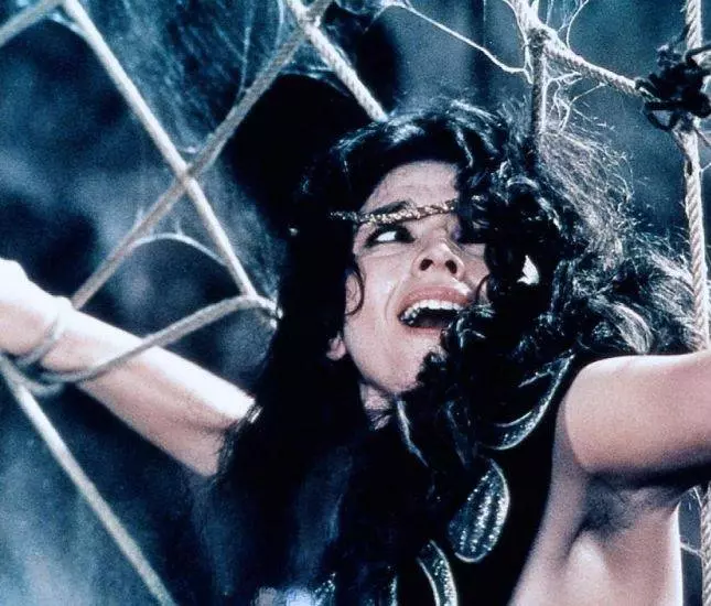 Непобедимый Атор 1982 скачать с торрента Непобедимый Атор 1982 скачать с торрента