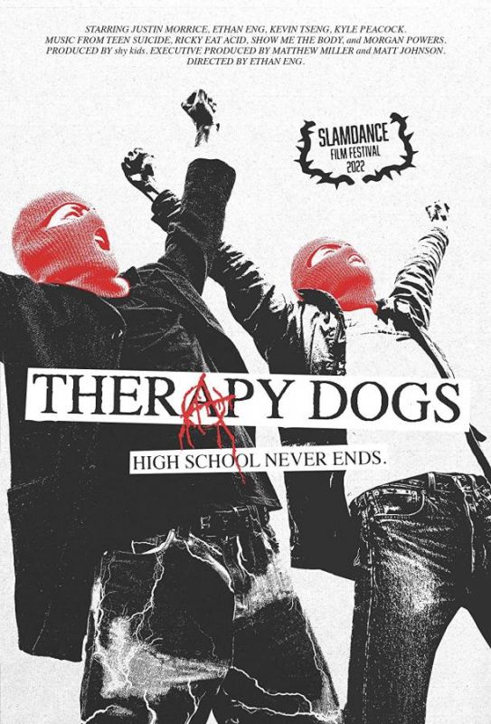 Therapy Dogs