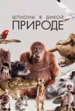 Шпионы в дикой природе / Earth Spy In The Wild 2017 скачать через торрент в хорошем качестве