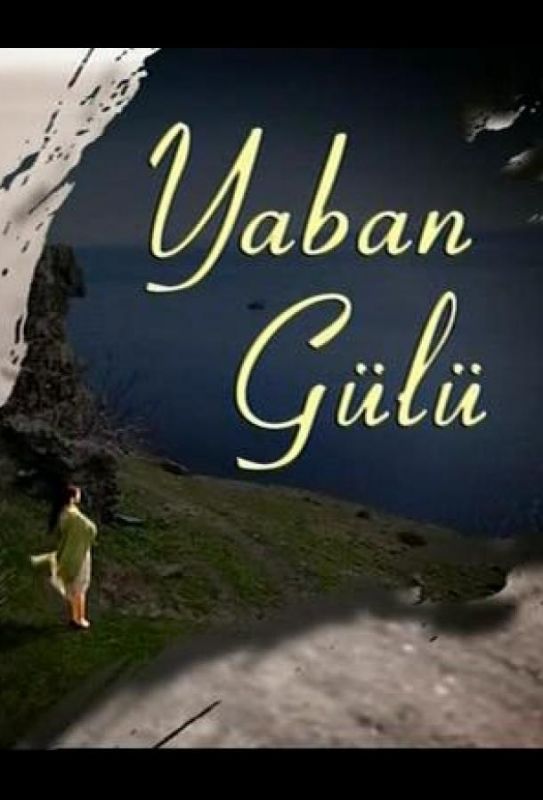 Yaban Gülü