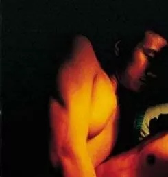 Лань Юй 2001 скачать через торрент бесплатно Лань Юй 2001 скачать через торрент бесплатно