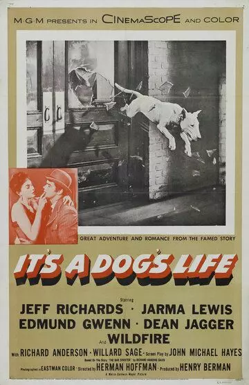 It's a Dog's Life 1955 скачать через торрент в хорошем качестве