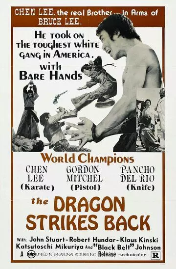 Меня зовут Шанхайский Джо / Il mio nome è Shangai Joe 1973 скачать через торрент в хорошем качестве