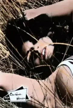 Мегера 1968 скачать торрентом Мегера 1968 скачать торрентом