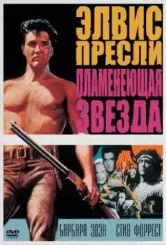 Пламенеющая звезда / Flaming Star 1960 скачать через торрент в хорошем качестве