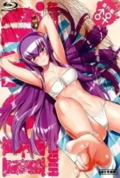 Школа мертвецов OVA / Highschool of the Dead: Drifters of the Dead 2011 скачать через торрент в хорошем качестве