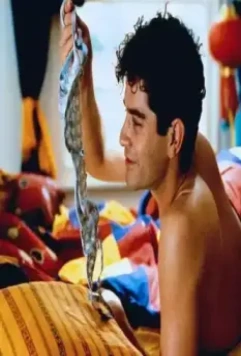 Мышиная возня 1998 скачать торрентом Мышиная возня 1998 скачать торрентом