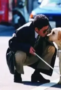 Куилл 2004 скачать через торрент бесплатно Куилл 2004 скачать через торрент бесплатно