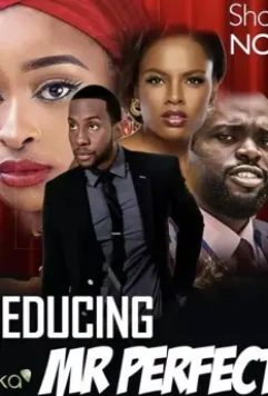 Соблазнить мистера Совершенство / Seducing Mr. Perfect 2019 скачать через торрент в хорошем качестве