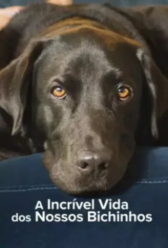 Тайная жизнь питомцев / The Hidden Lives of Pets 2022 скачать через торрент в хорошем качестве