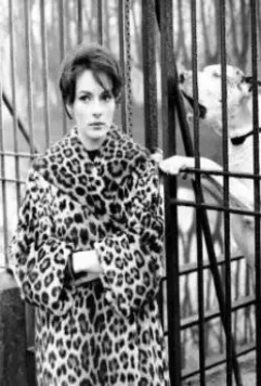 Зеленый лучник 1961 скачать торрентом Зеленый лучник 1961 скачать торрентом