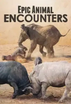 Невероятные встречи с животными / Epic Animal Encounters 2019 скачать через торрент в хорошем качестве