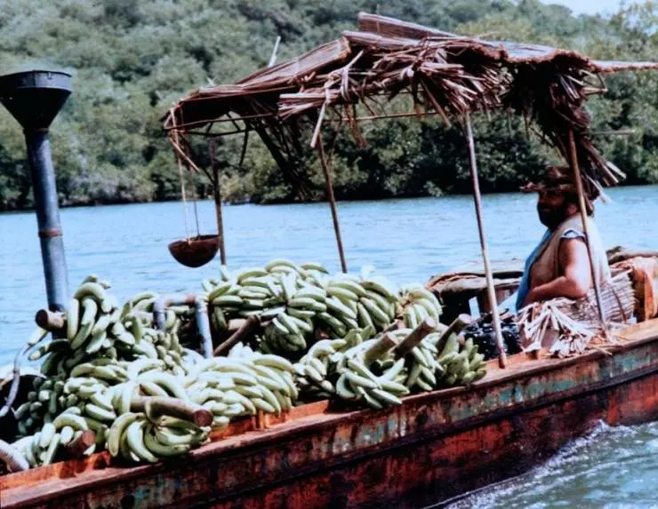 Банановый Джо 1982 скачать с торрента Банановый Джо 1982 скачать с торрента