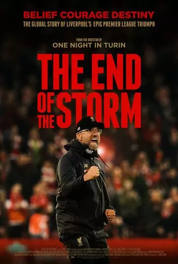 Конец шторма / The End of the Storm 2020 скачать через торрент в хорошем качестве