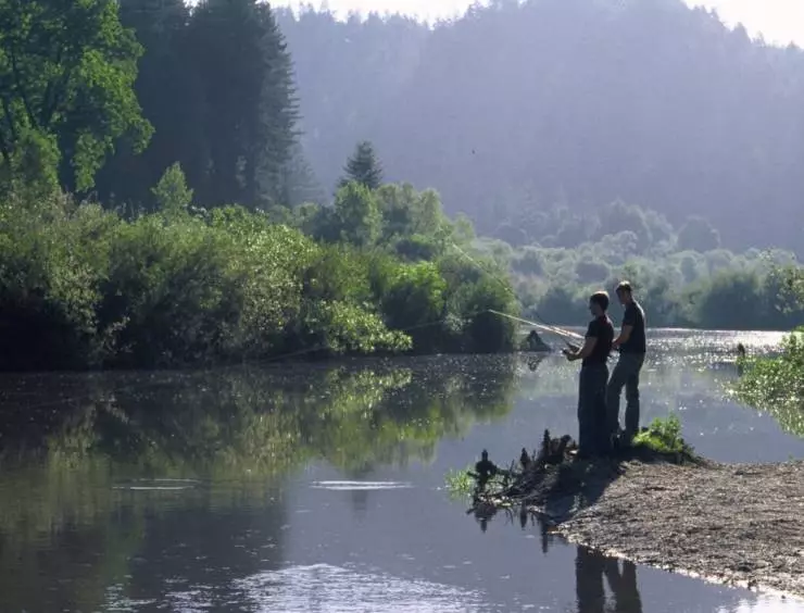 Секвойи вечнозелены 2009 скачать торрентом Секвойи вечнозелены 2009 скачать торрентом