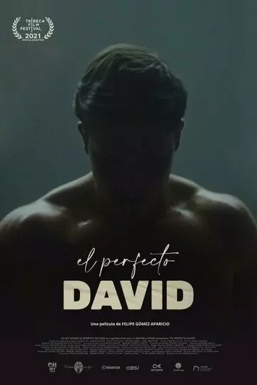 Идеальный Давид / El perfecto David 2021 скачать через торрент в хорошем качестве