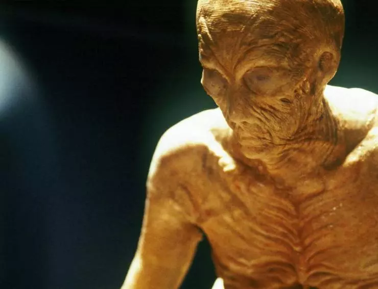 Холод и тьма 2005 скачать через торрент бесплатно Холод и тьма 2005 скачать через торрент бесплатно