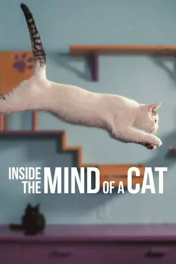 Внутри разума кошки / Inside the Mind of a Cat 2022 скачать через торрент в хорошем качестве