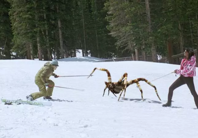 Ледяные пауки 2007 скачать с торрента Ледяные пауки 2007 скачать с торрента