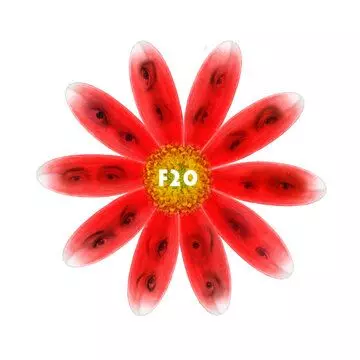 F20 2011 скачать через торрент в хорошем качестве