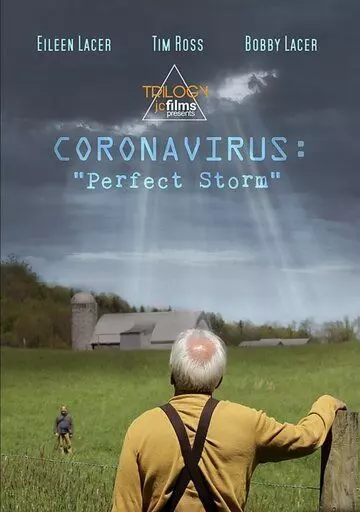 Коронавирус: Идеальный шторм / Coronavirus: Perfect Storm 2020 скачать через торрент в хорошем качестве