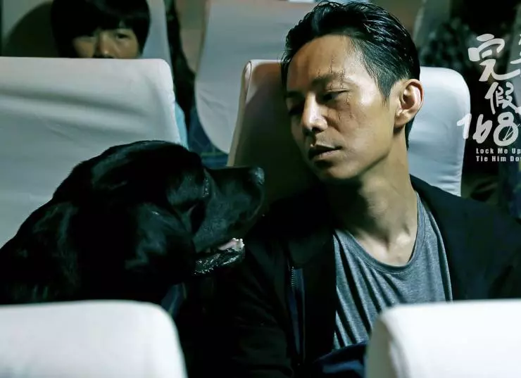 Запри меня, свяжи его 2014 скачать торрентом Запри меня, свяжи его 2014 скачать торрентом