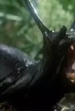 Слизни 1988 скачать через торрент бесплатно Слизни 1988 скачать через торрент бесплатно