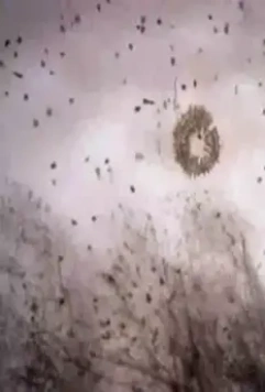 Зимние дни 2003 скачать с торрента Зимние дни 2003 скачать с торрента