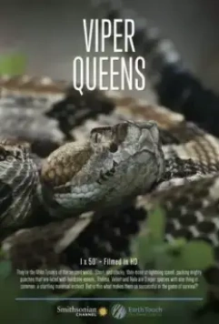 Королевы гадюк / Viper Queens 2016 скачать через торрент в хорошем качестве