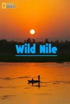 Дикий Нил / Wild Nile 2014 скачать через торрент в хорошем качестве