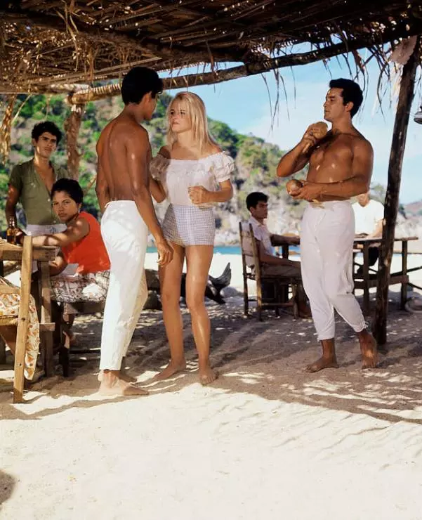 Ночь игуаны 1964 скачать через торрент бесплатно Ночь игуаны 1964 скачать через торрент бесплатно