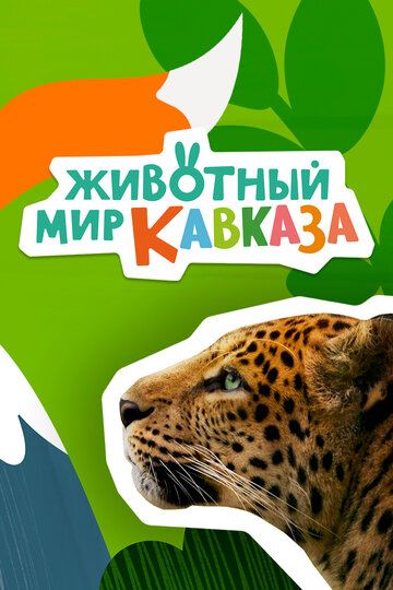 Животный мир Кавказа