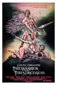 Воин и колдунья / The Warrior and the Sorceress 1984 скачать через торрент в хорошем качестве