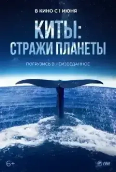 Киты: Стражи планеты / Les gardiennes de la planète 2023 скачать через торрент в хорошем качестве