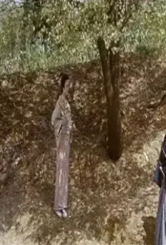 Горная сакура 2008 скачать с торрента Горная сакура 2008 скачать с торрента