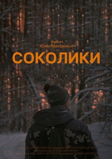 Соколики