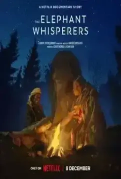 Заклинатели слонов / The Elephant Whisperers 2022 скачать через торрент в хорошем качестве
