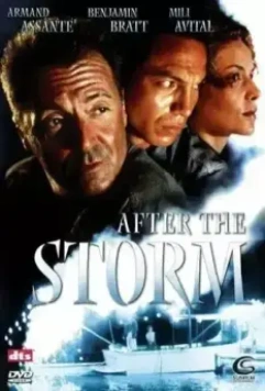 После шторма / After the Storm 2001 скачать через торрент в хорошем качестве