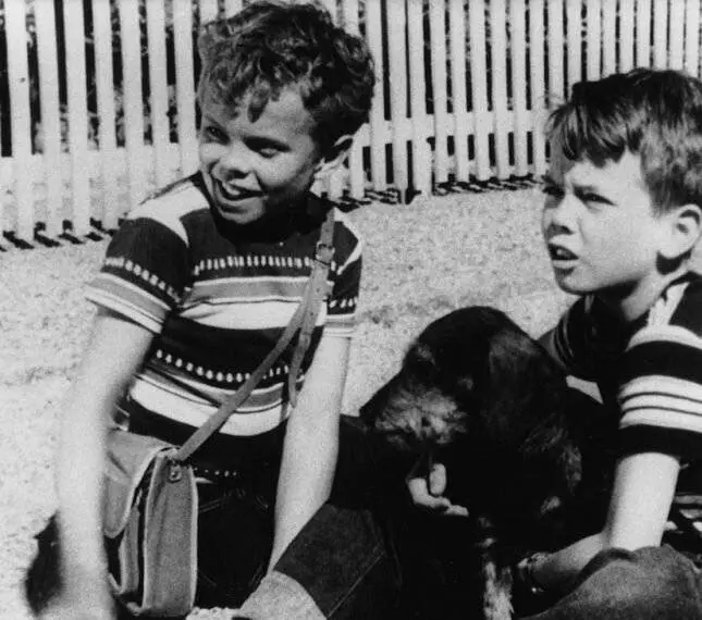 Детектив Расмус 1953 скачать с торрента Детектив Расмус 1953 скачать с торрента