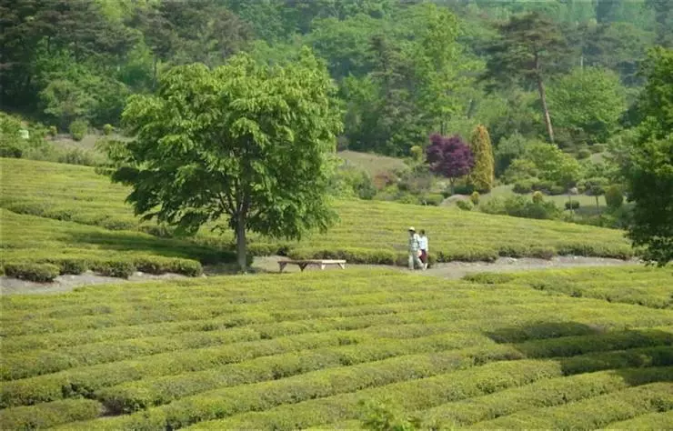 Лена 2016 скачать через торрент бесплатно Лена 2016 скачать через торрент бесплатно