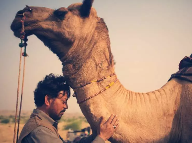 Песнь скорпионов 2017 скачать с торрента Песнь скорпионов 2017 скачать с торрента