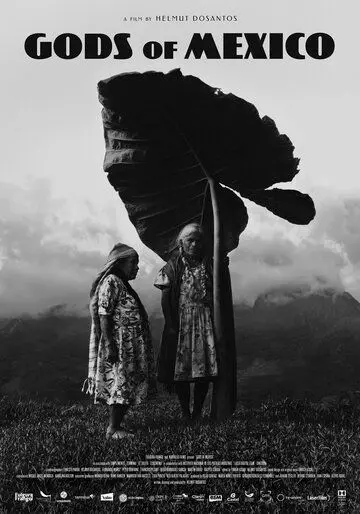 Боги Мексики / Gods of Mexico 2022 скачать через торрент в хорошем качестве