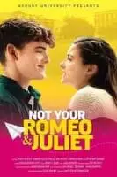 Не твои Ромео и Джульетта / Not Your Romeo & Juliet 2023 скачать через торрент в хорошем качестве