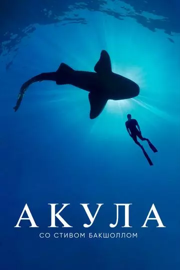 Акула со Стивом Бакшоллом / Shark with Steve Backshall 2021 скачать через торрент в хорошем качестве