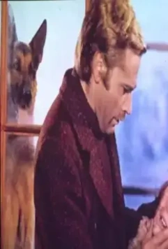 Возвращение Белого Клыка 1974 скачать торрентом Возвращение Белого Клыка 1974 скачать торрентом