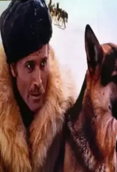 Возвращение Белого Клыка 1974 скачать через торрент бесплатно Возвращение Белого Клыка 1974 скачать через торрент бесплатно