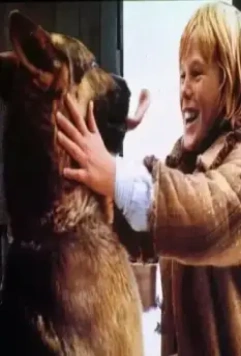 Возвращение Белого Клыка 1974 скачать с торрента Возвращение Белого Клыка 1974 скачать с торрента