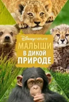 Малыши в дикой природе / Growing Up Wild 2016 скачать через торрент в хорошем качестве