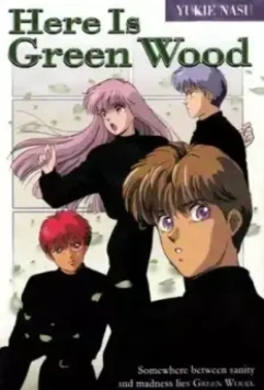 Это Гринвуд / Koko wa Gurînuddo 1991 скачать через торрент в хорошем качестве